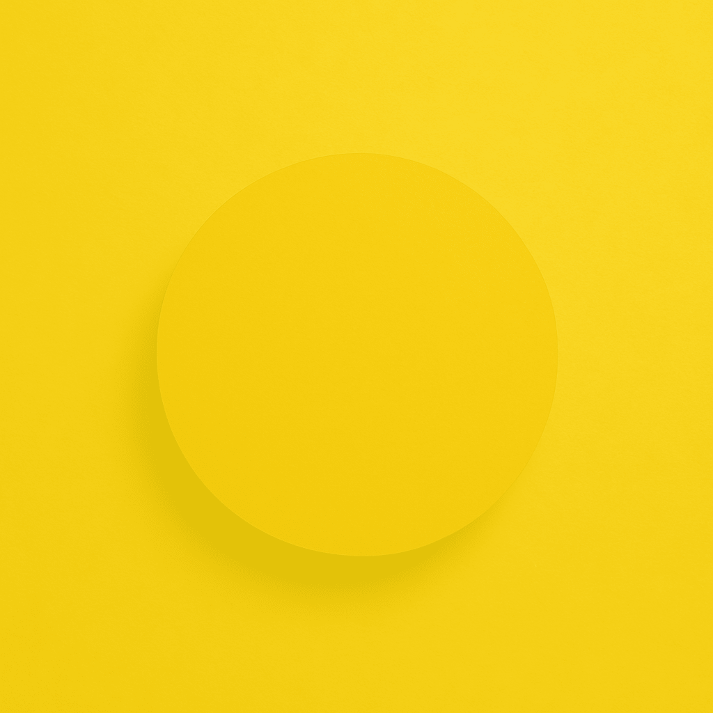 Vector ()